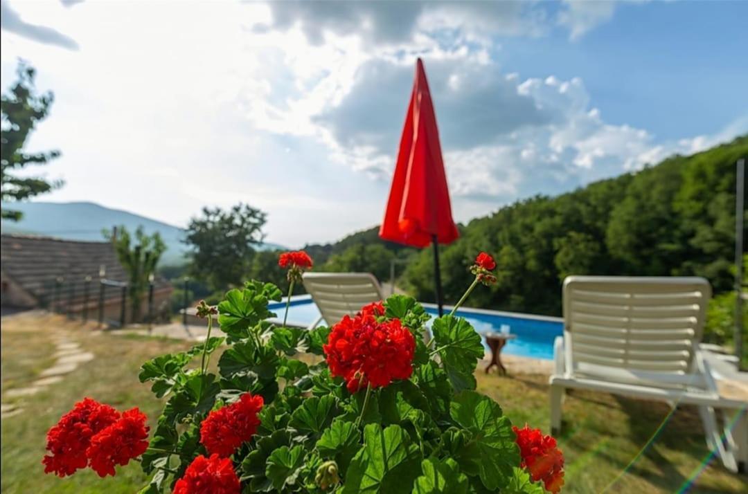 Honey House Βίλα Grabovac  Εξωτερικό φωτογραφία
