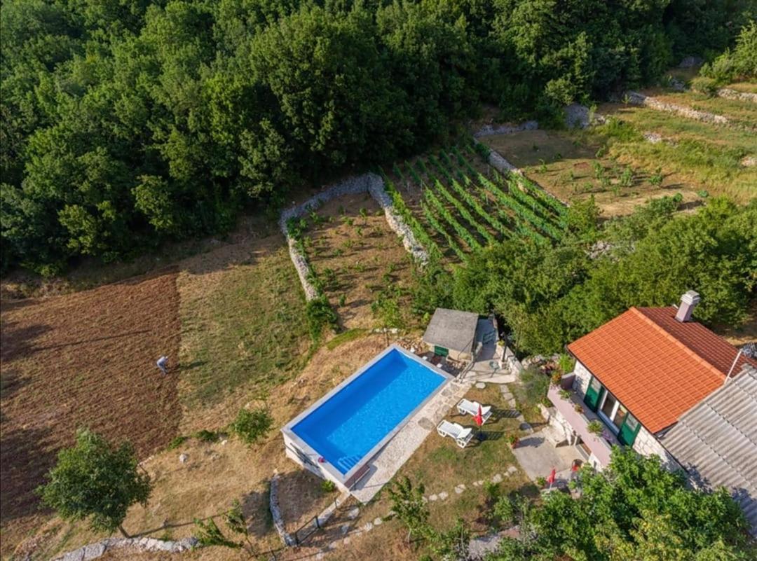 Honey House Βίλα Grabovac  Εξωτερικό φωτογραφία